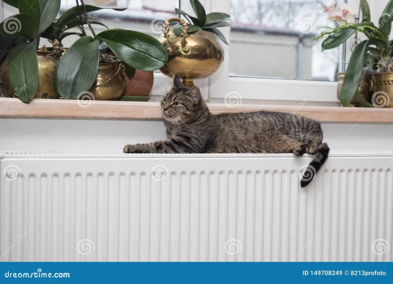 Sandwich Type Cat Radiator Is Your CAT Radiator Ready to Keep You Cool This Summer?
