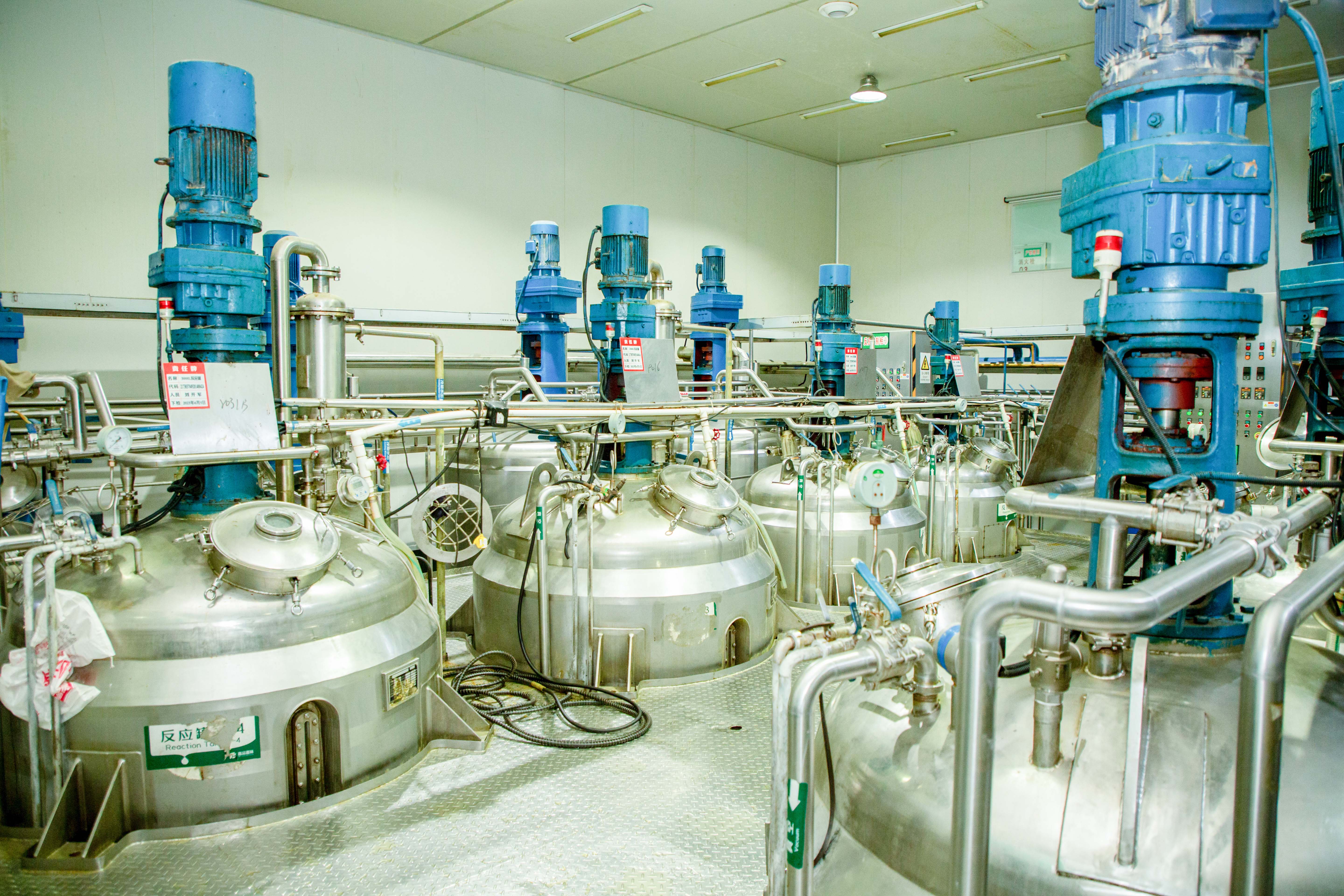 Page2 Beef Flavored Seasoning,Strong Beef Flavor Seasoning,Beef