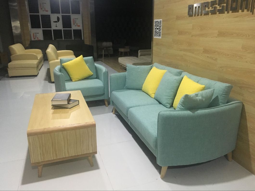 Leisure Sofa, Sofa, 2017 New Sofa, Modern Design Sofa