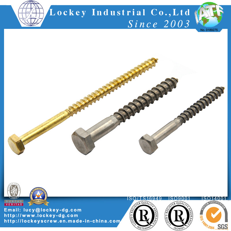 Stainless Steel Coach Screw Lag Screw Hex Wood Screw