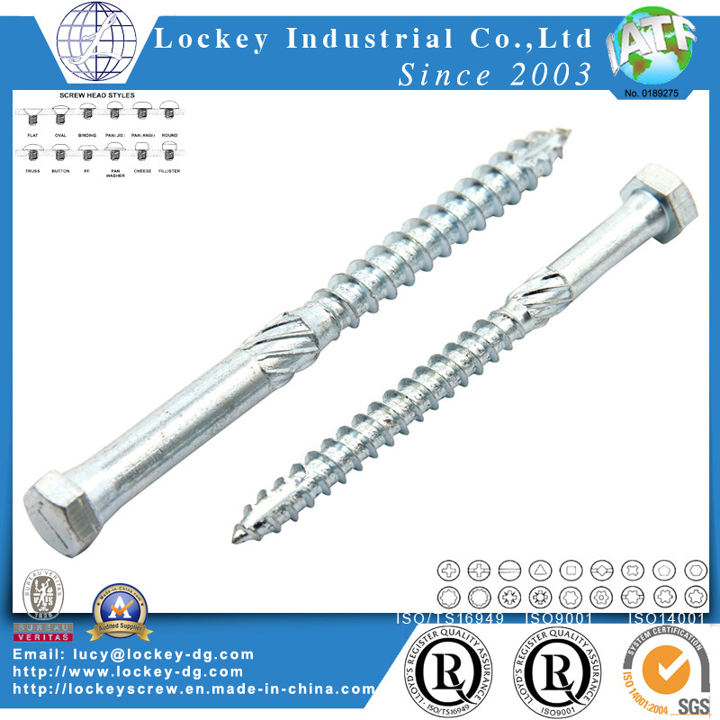 Stainless Steel Screw Hex Head Wood Screw Lag Screw Coach Screw