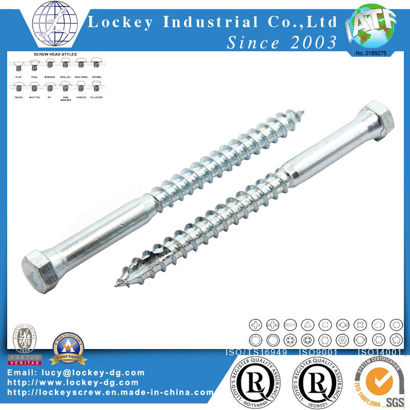 Stainless Steel Coach Screw Lag Screw Hex Wood Screw