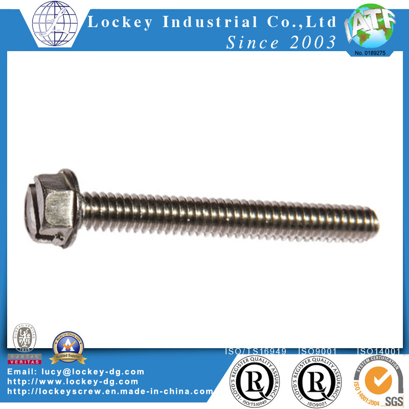 Stainless Steel 316 Machine Screw