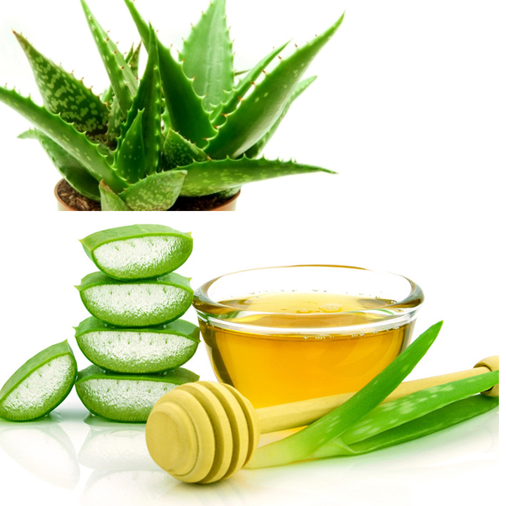 100-pure-facial-oil-ingredients-aloe-vera-oil-china-manufacturer